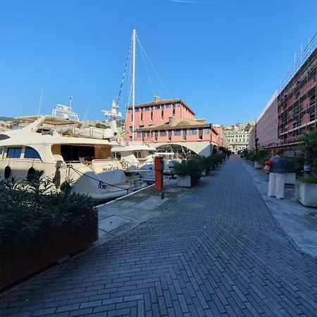 Yacht Newfield *