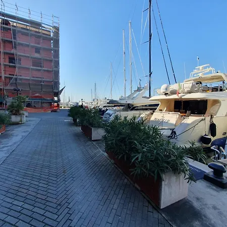 Yacht Newfield